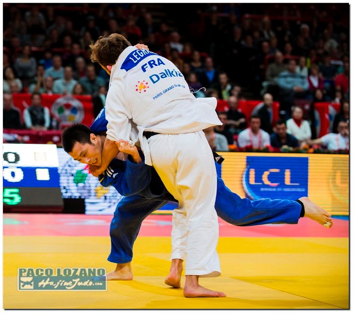 Paris 2014 by P.Lozano cat -73 kg (140)